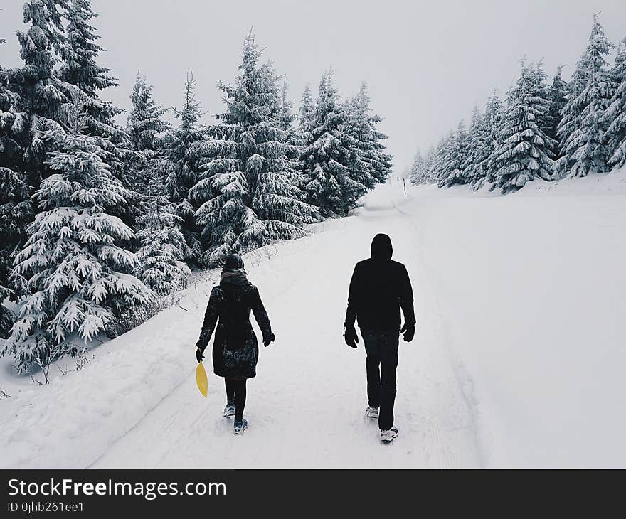 Photograph of Two Persons in the Middle of the Road on a Snowy Setting