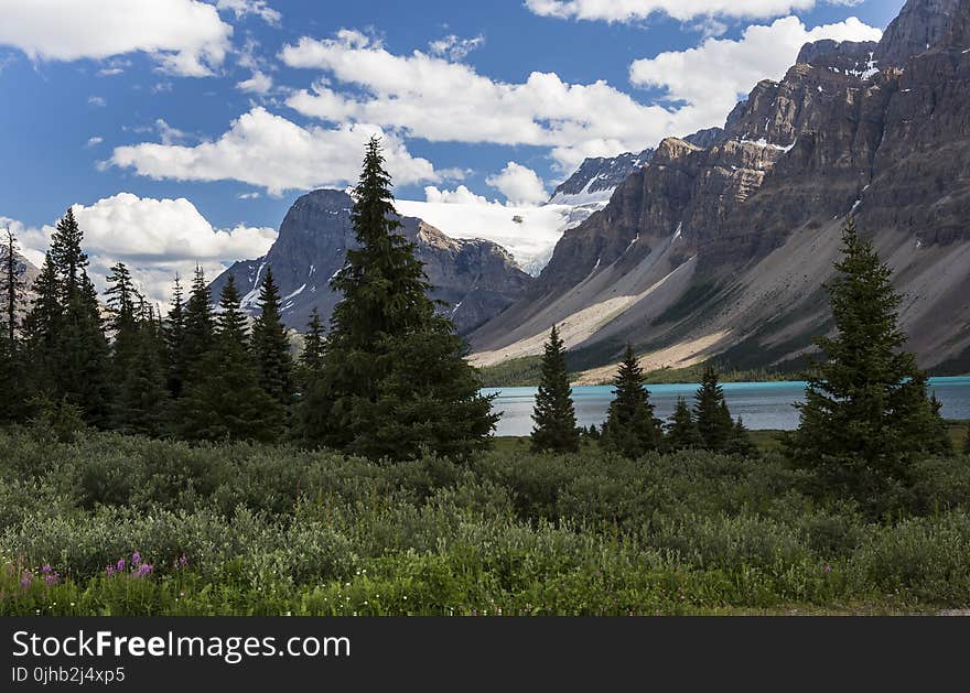 Scenic View at the Banff National Park