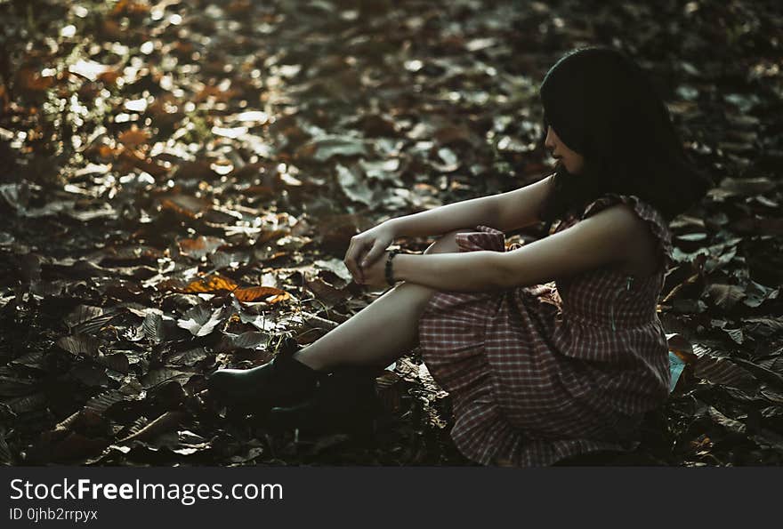 Photo of a Woman Sitting on the Ground Covered with Dried Leaves