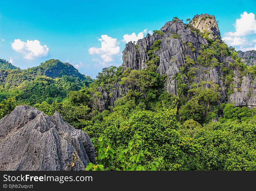 Photography of Mountain Covered With Trees