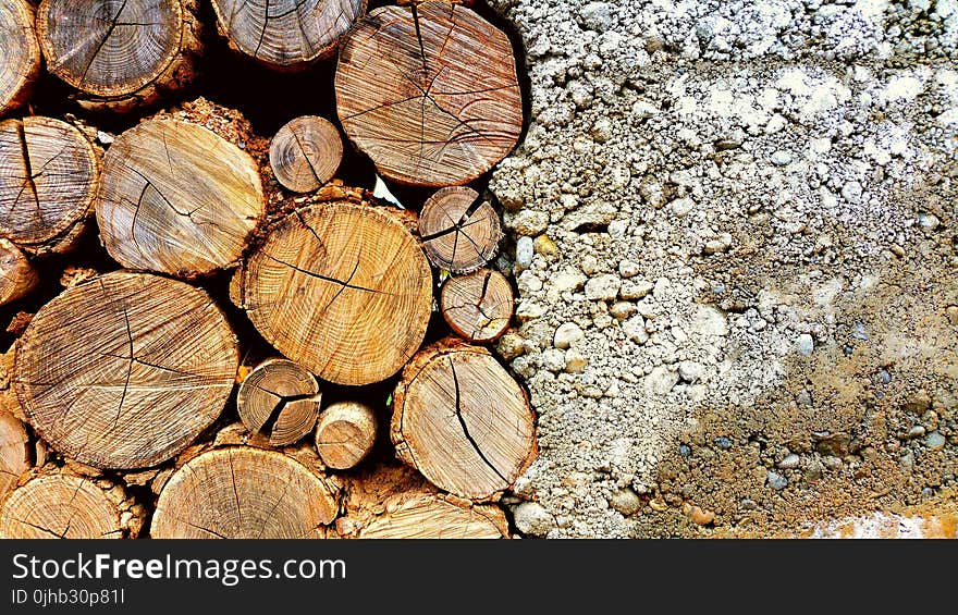 Photo of Brown Log and White Pebbles