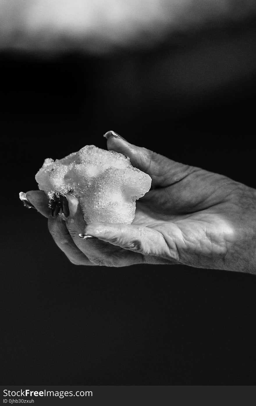 Black-and-white Photo of Hand Holding Snow