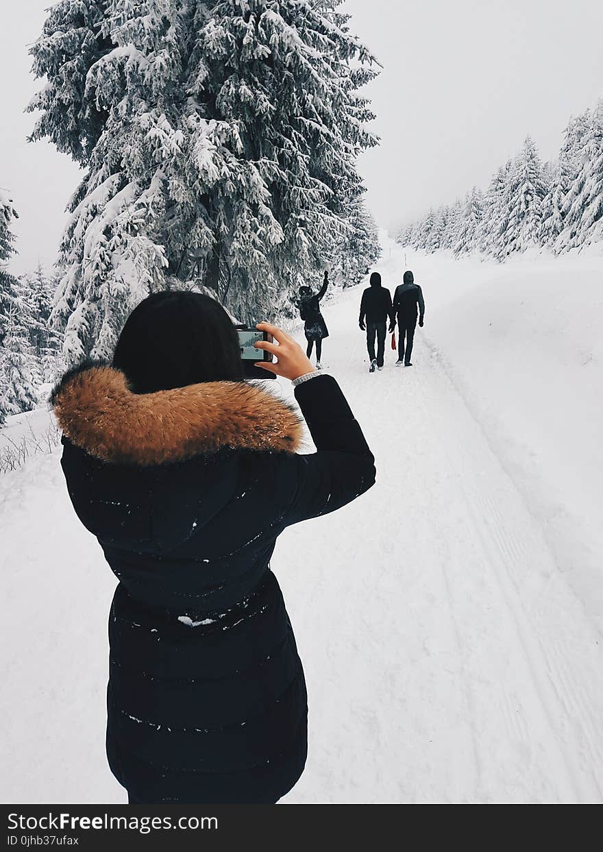 Woman in Black Coat Taking a Picture of Three Person in Front of Her While Walking Through Snow Field