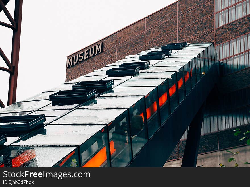 People Inside Museum