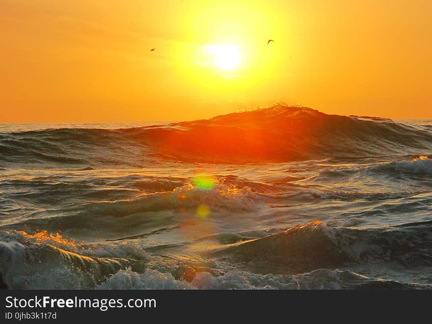 Photography of Ocean Wave during Golden Hour