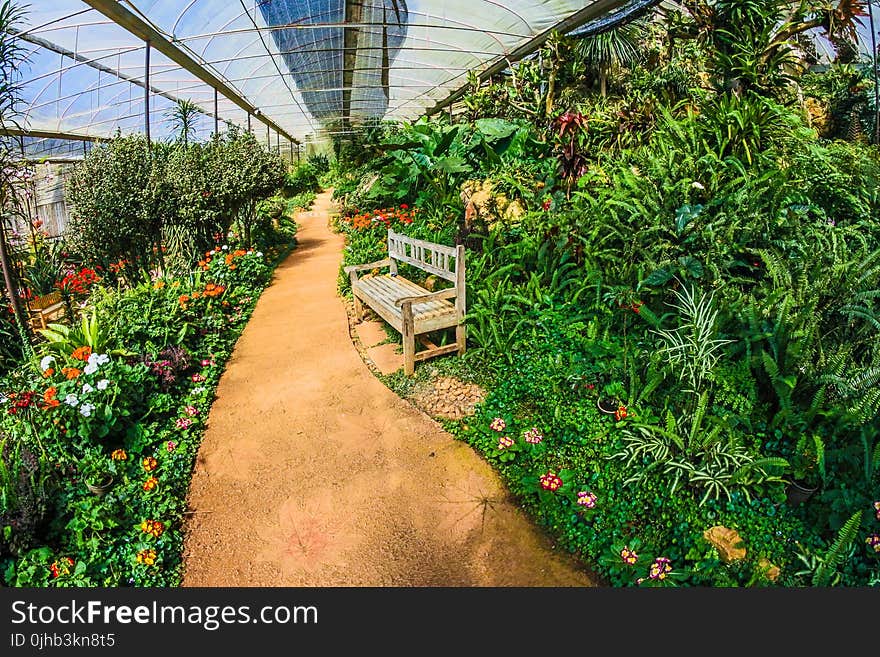 Greenhouse Garden