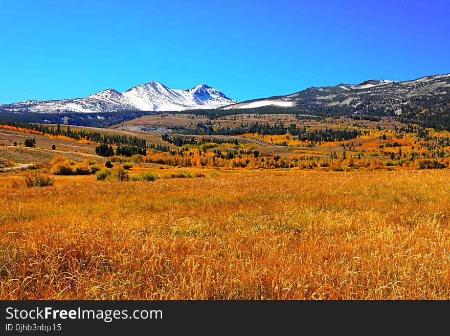 White Snow Mountain Near Grass Field