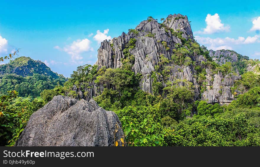 Photography of Mountain Covered With Trees