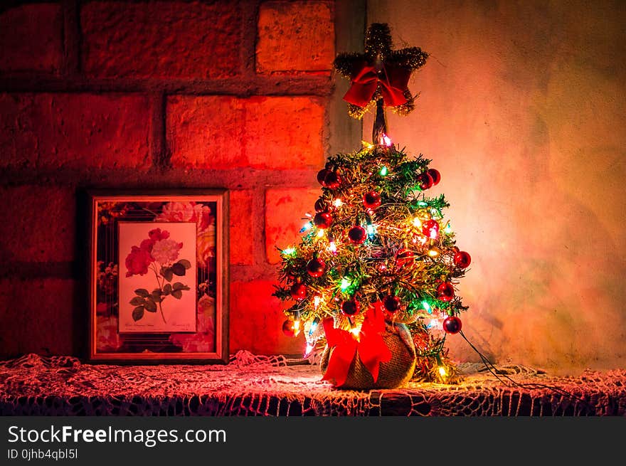 Photo of Lighted Christmas Tree