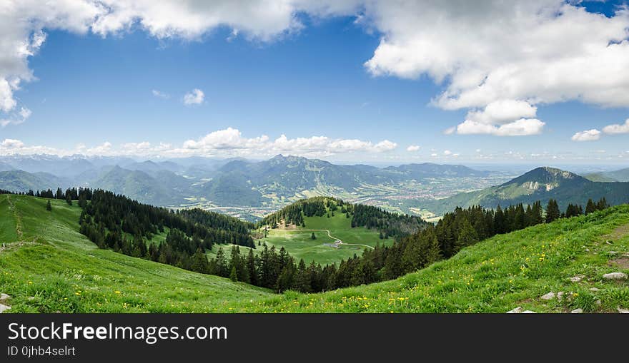 Grass and Pine Tree Coated Hill during Cloudy Daytime