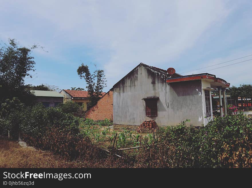 House Near Bushes