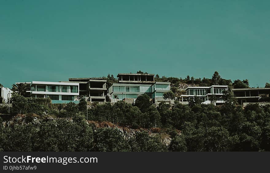 White and Gray Concrete Buildings With Green Trees Under Green Sky