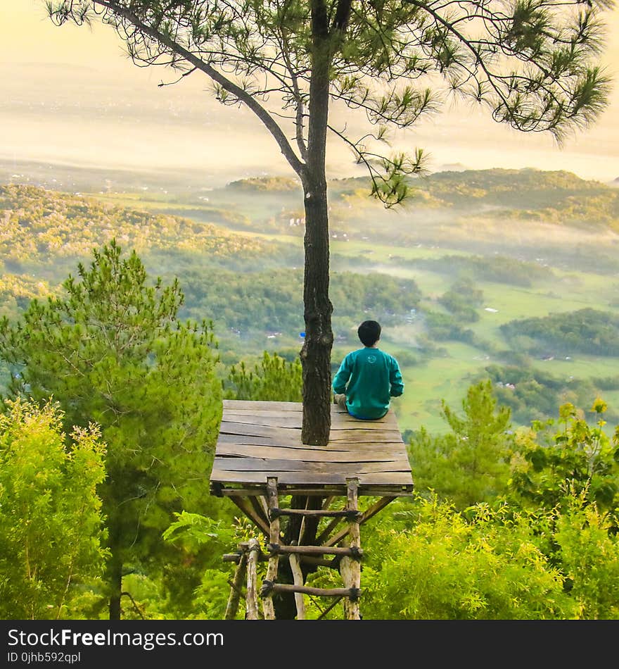 Photo of a Man Sitting Under the Tree