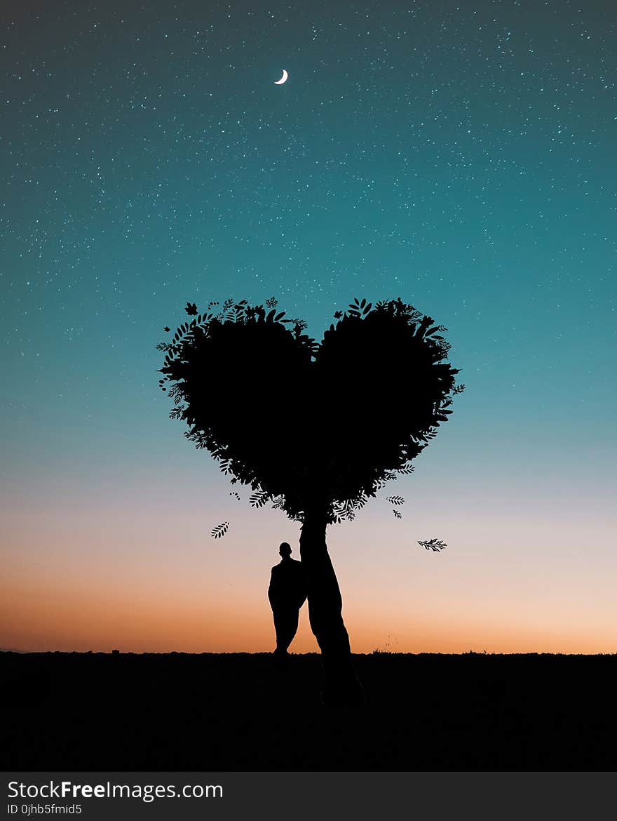 Silhouette Photo of Man Leaning on Heart Leaf Shape Tree during Dawn