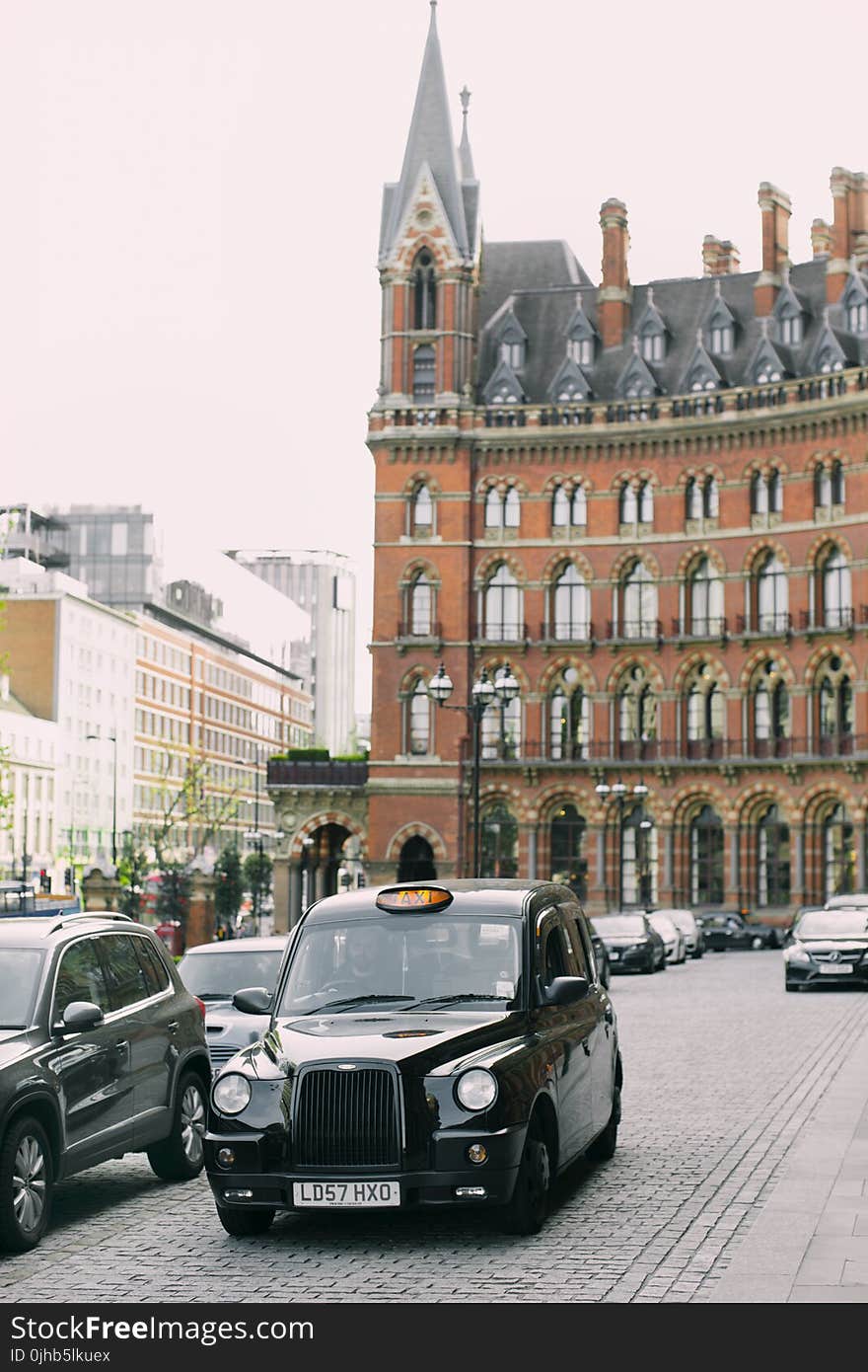 Black Mini Cooper on Gray Pavement Road