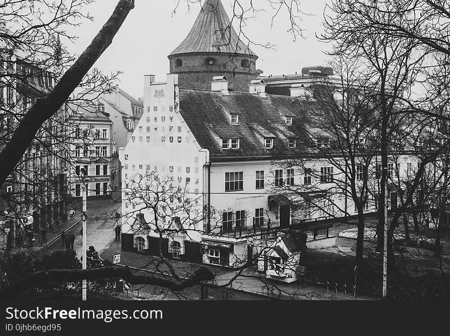 Greyscale Photo of White Painted Building Distance With Bare Trees