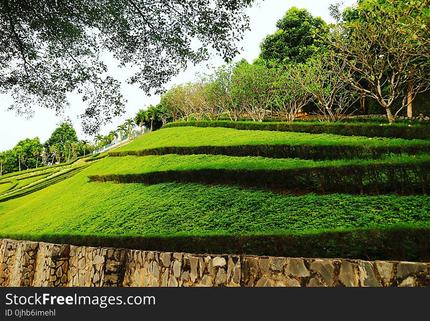 Timelapse Photo of Layered Green Grass Field