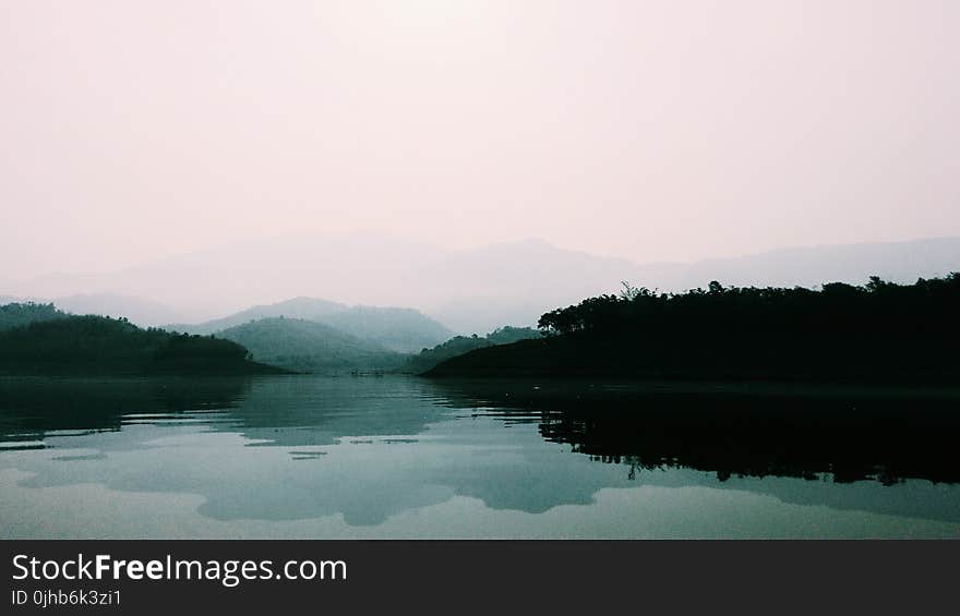 Green Forest Near Body of Water