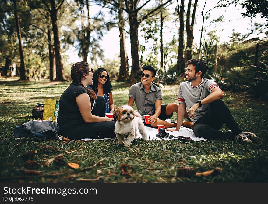 Group of People Sitting on White Mat on Grass Field