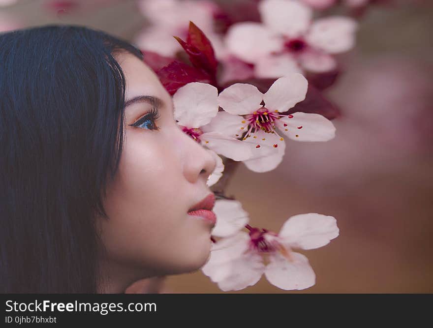 Woman Beside Cherry Blossoms