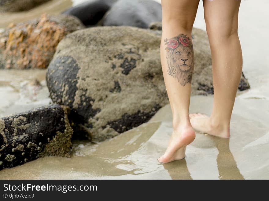 Person With Lion Tattoo