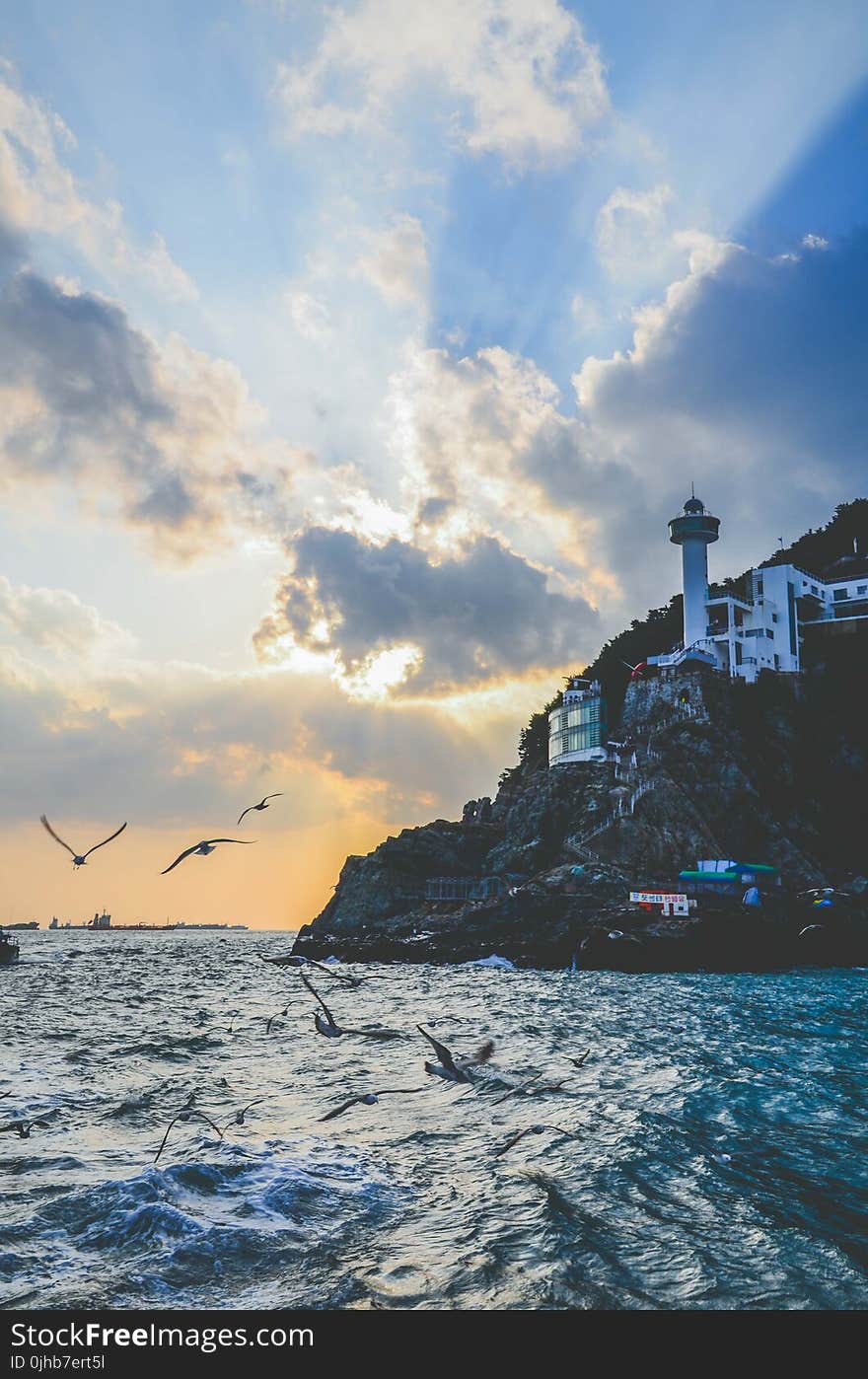 White Lighthouse Near Body of Water