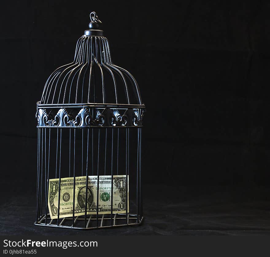 Black Steel Pet Cage With One Dollar