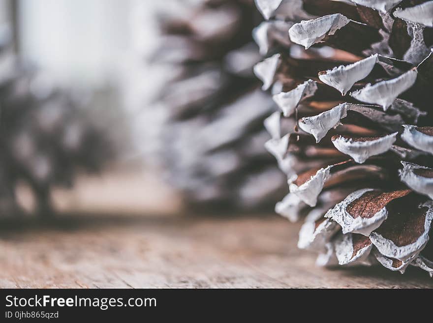 Brown and Gray Decorative Pine Cone