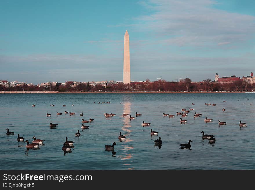 Washington Monument, USA