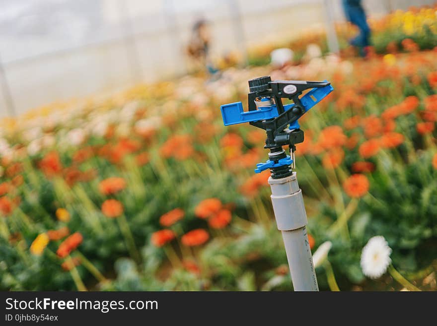 Blue and Gray Garden Sprinkler