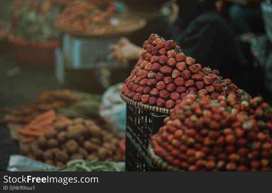 Strawberry Focus Photo