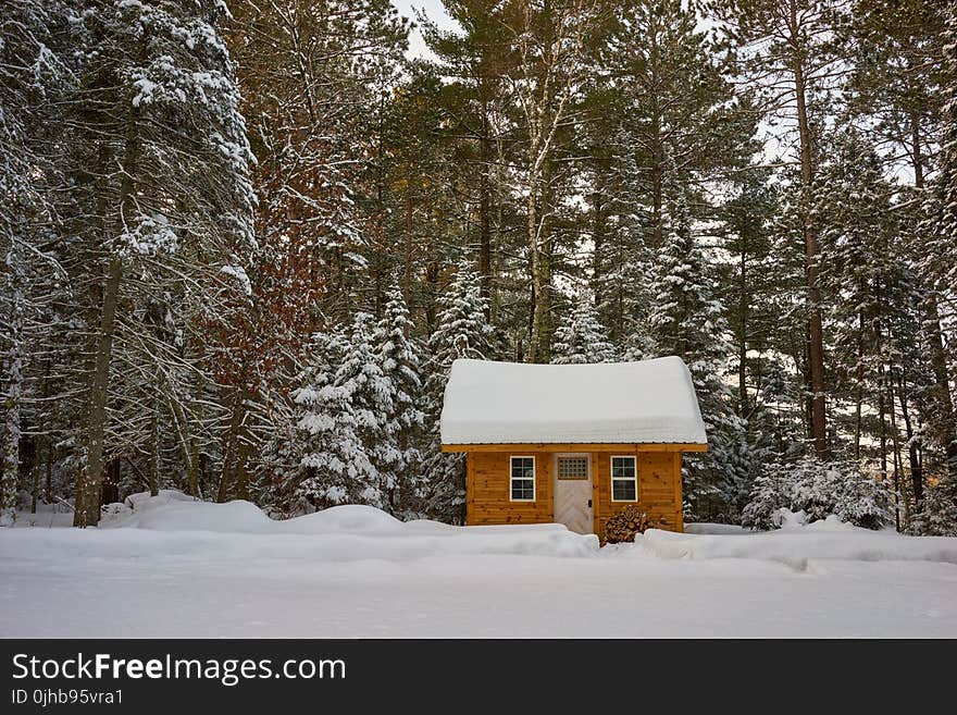 Brown Wooden House