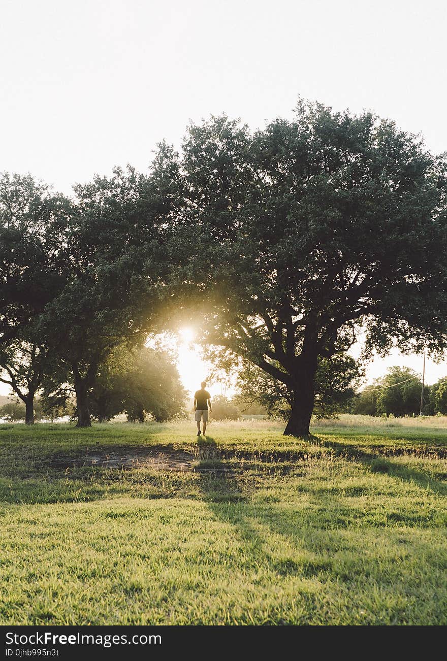 Man Walking during Sunrise