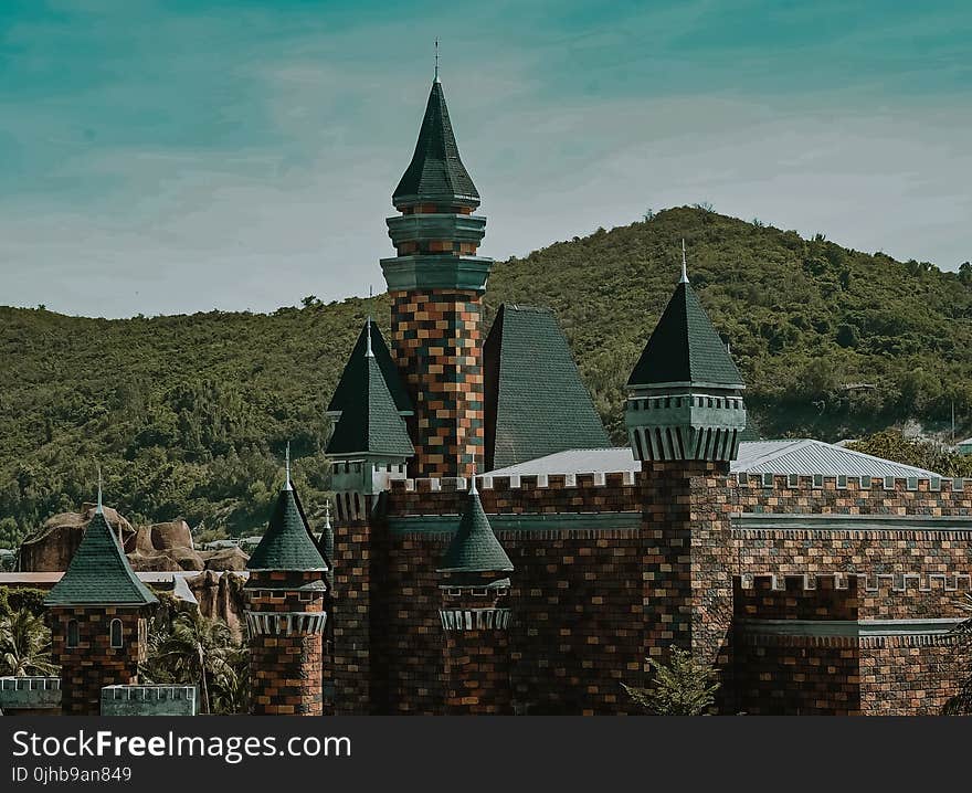 Brown and Green Castle