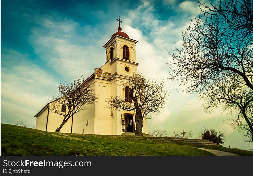 Cathedral Under Clouds Near Leafless Tree