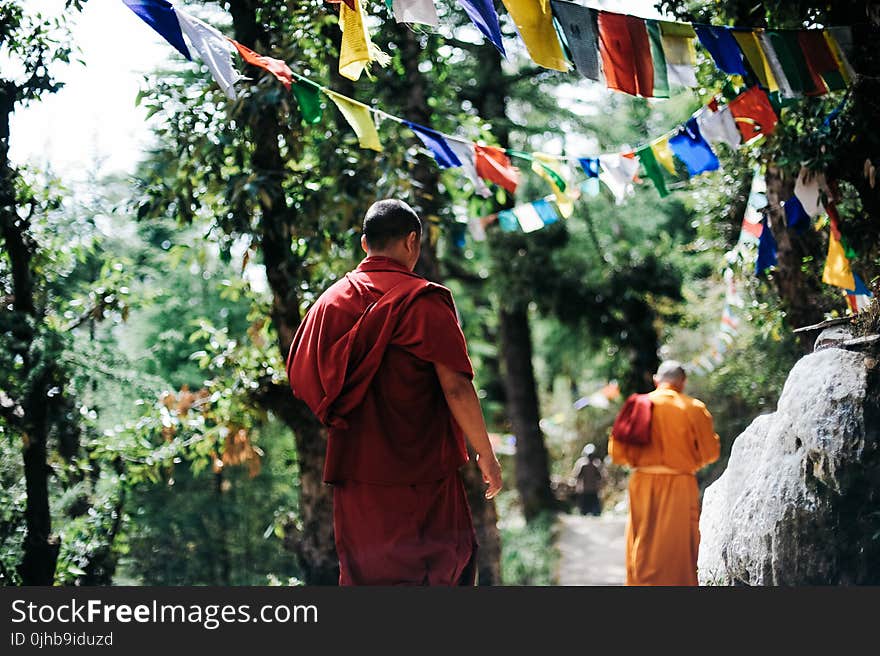 Two Monks Walking Between Trees