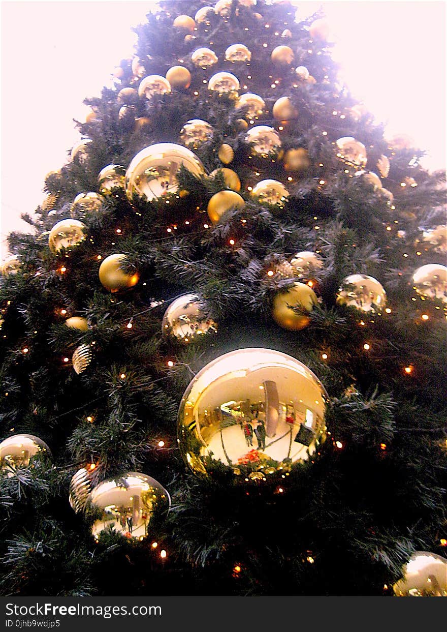 Low Angle Shot of Christmas Tree With Gold-colored Bauble