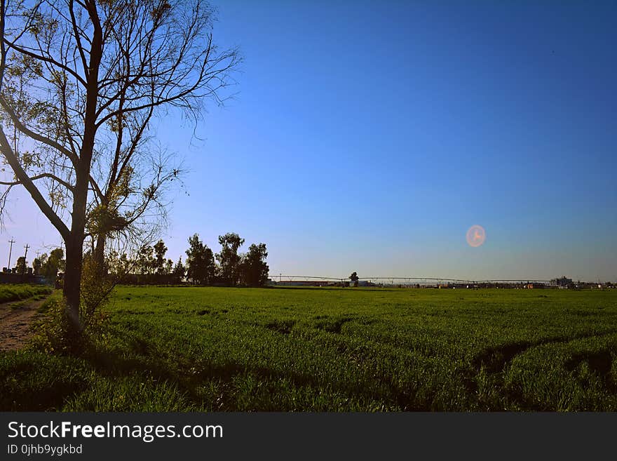 Green Grassland Under Blue Sky