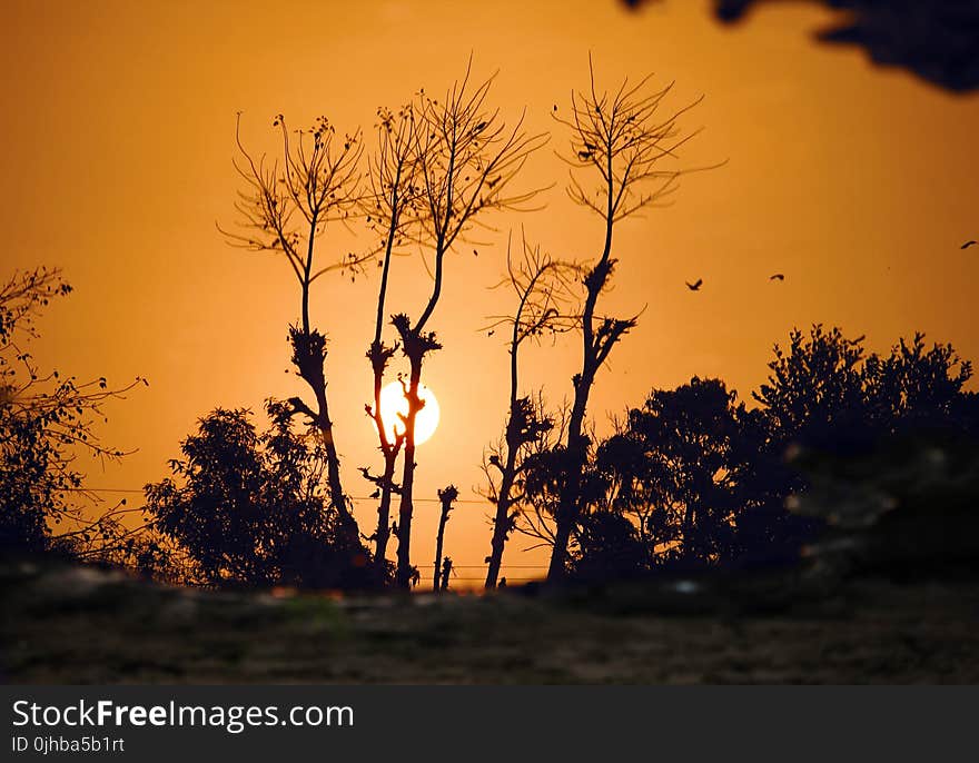 Silhouette of Pants on Sunset