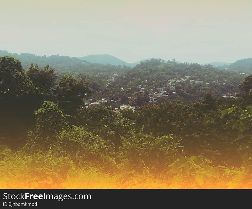 Green Coated Hill With Houses