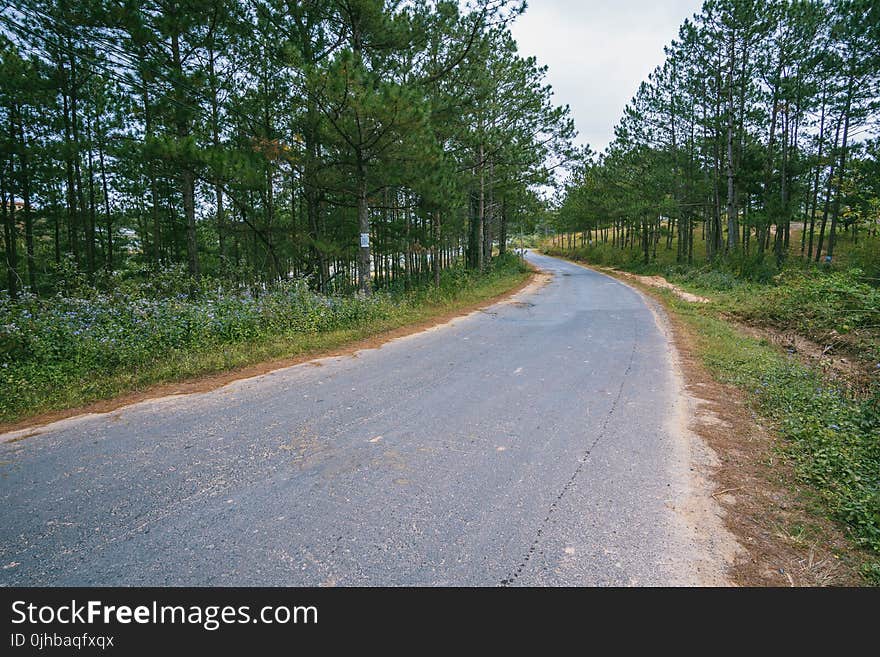 Gray Concrete Road