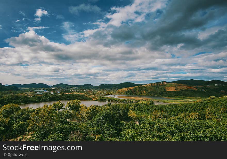 Top View Photography of Green Forest