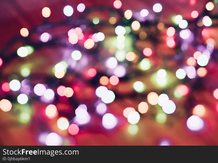 Selective Focus Photography of String Lights