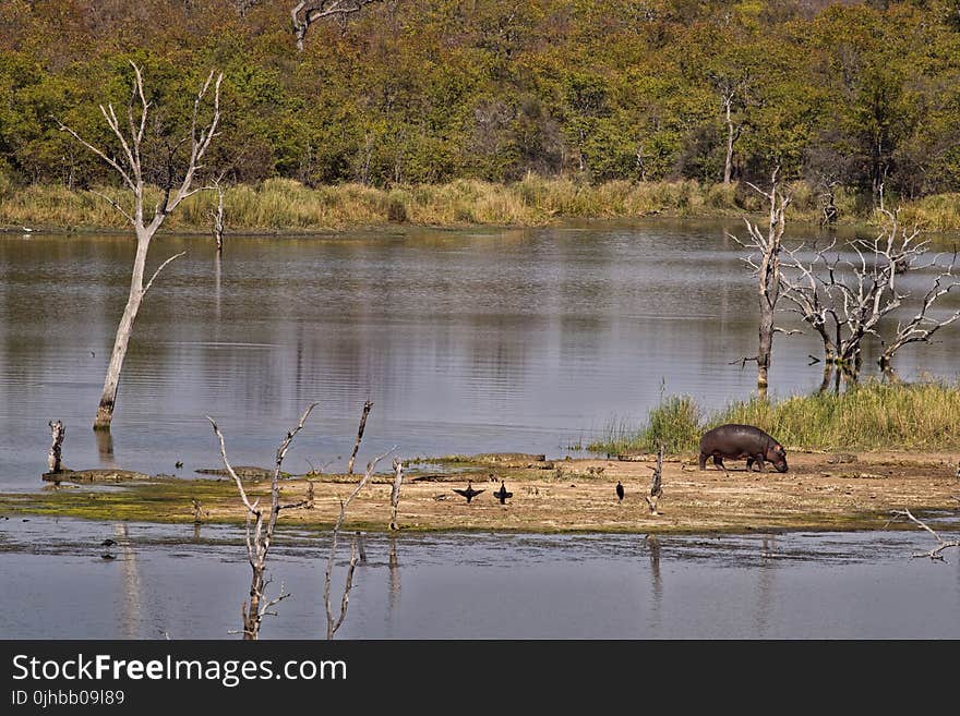 Scenic View of the River