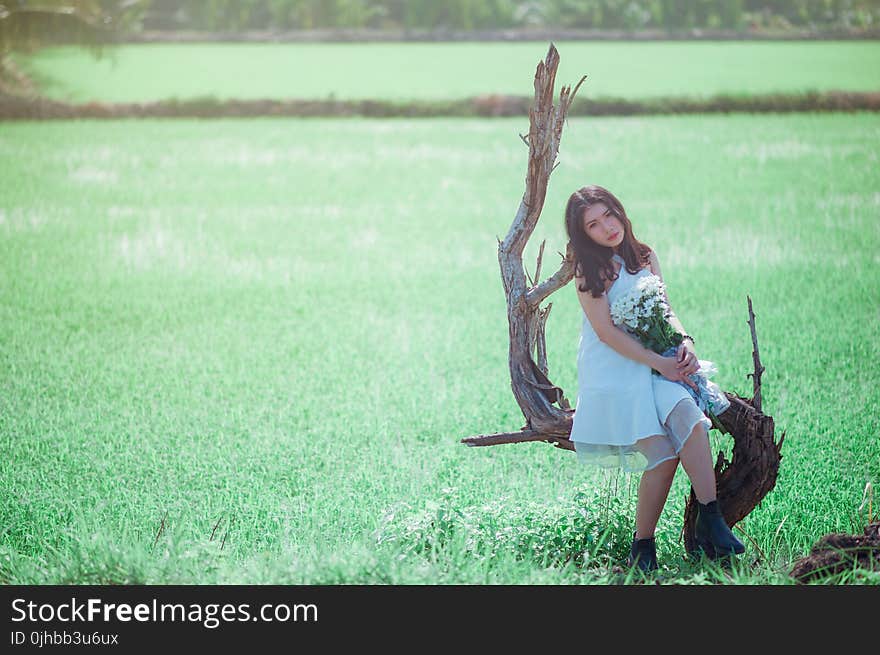 Woman Sitting on Tree While Holding Bouquet of White Flower