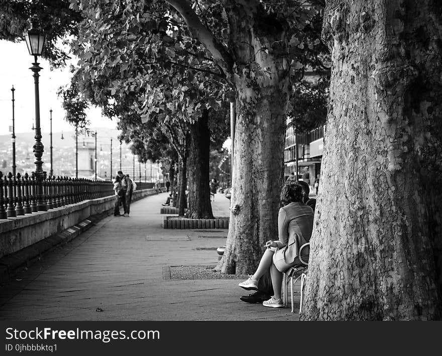 Gray Scale Photo of Woman Sitting Down in Chair Near Trees