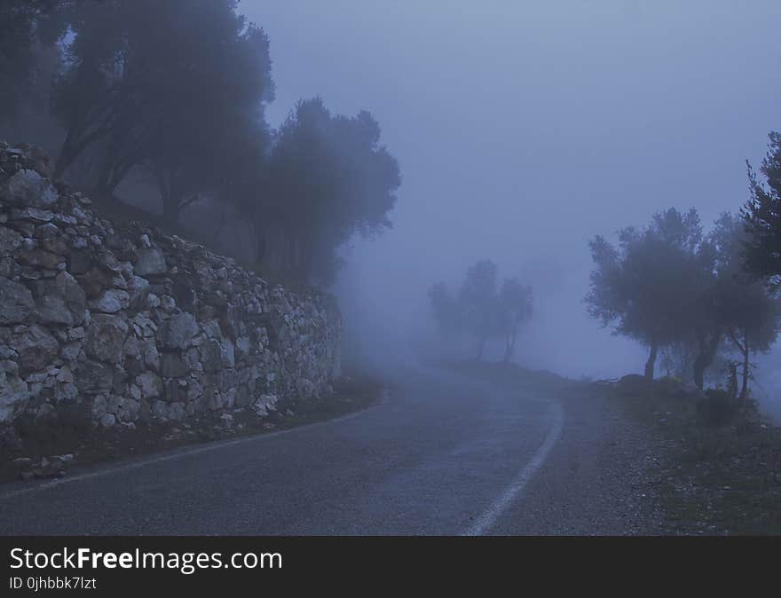 Road Between Trees and a Cliff Covered With Fog