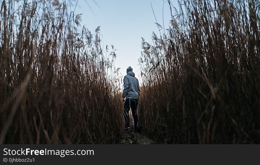 Man in the Middle of Trees