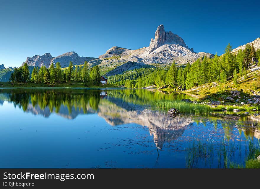 Landscape Photography of White Mountain