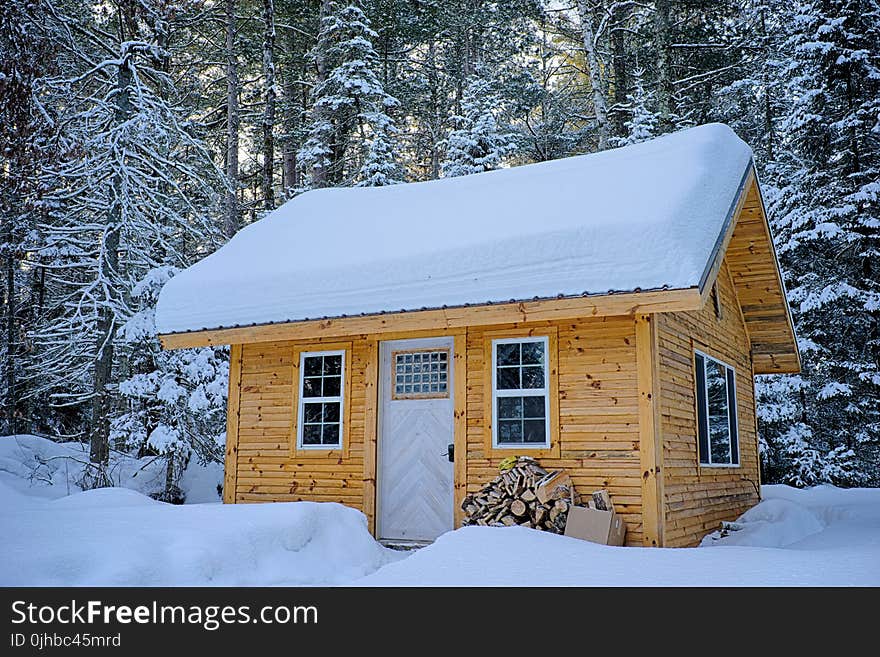 Snow Covered Wooden House Inside Forest